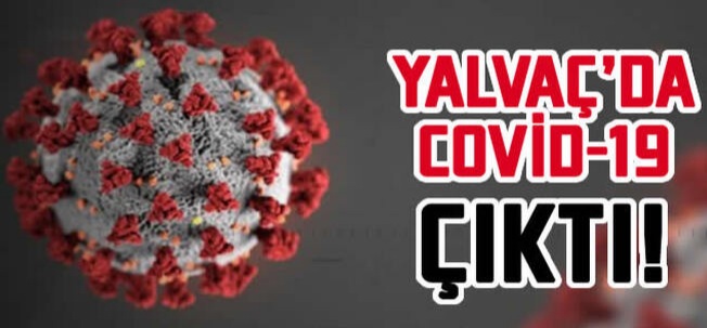 Yalva'ta 3 koronavirs Vakas tespit edildi, ite detaylar!