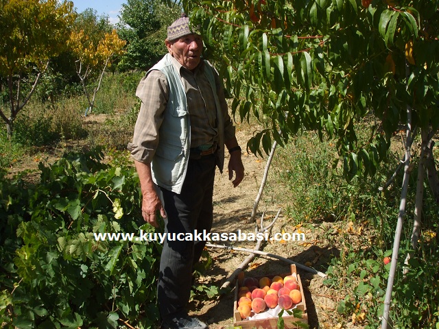 Mehmet Ali Grzal