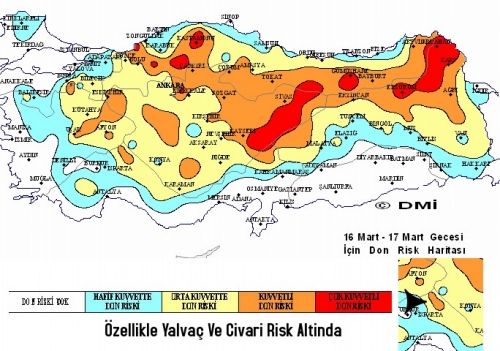 Dikkat !!! Blgemizde Zirai Don Riski Var!