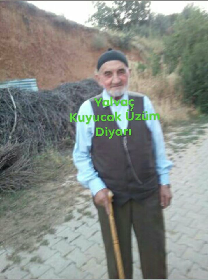 Resmi Büyüt