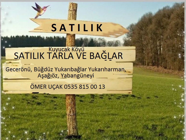 Kuyucak Ky Satlk Tarla Ve Balar