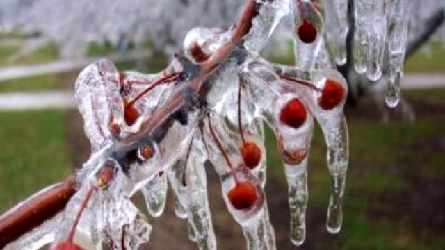 Meteorolojiden blgemiz iin zirai don uyars