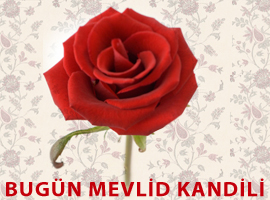 Mevlid Kandiliniz Mbarek Olsun!!!